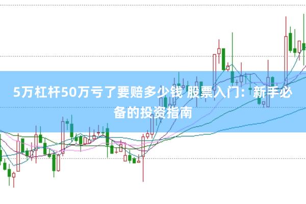 5万杠杆50万亏了要赔多少钱 股票入门：新手必备的投资指南