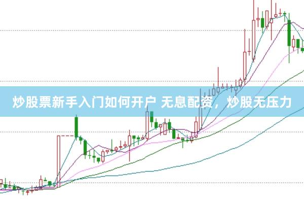 炒股票新手入门如何开户 无息配资，炒股无压力