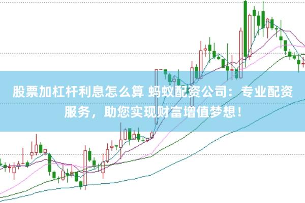 股票加杠杆利息怎么算 蚂蚁配资公司：专业配资服务，助您实现财富增值梦想！
