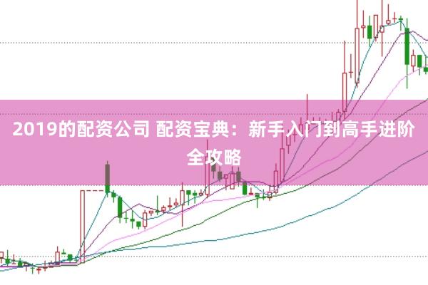 2019的配资公司 配资宝典：新手入门到高手进阶全攻略