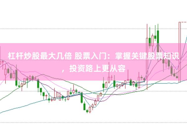杠杆炒股最大几倍 股票入门：掌握关键股票知识，投资路上更从容
