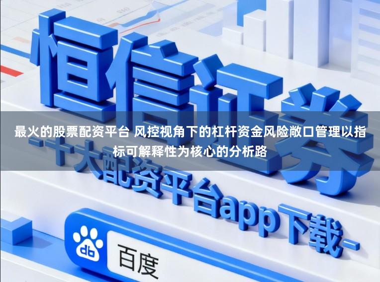 最火的股票配资平台 风控视角下的杠杆资金风险敞口管理以指标可解释性为核心的分析路