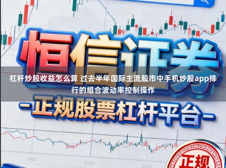 杠杆炒股收益怎么算 过去半年国际主流股市中手机炒股app排行的组合波动率控制操作