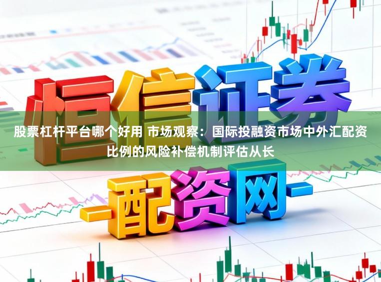 股票杠杆平台哪个好用 市场观察：国际投融资市场中外汇配资比例的风险补偿机制评估从长